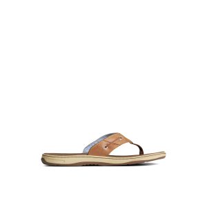 Baitfish Flip Flops